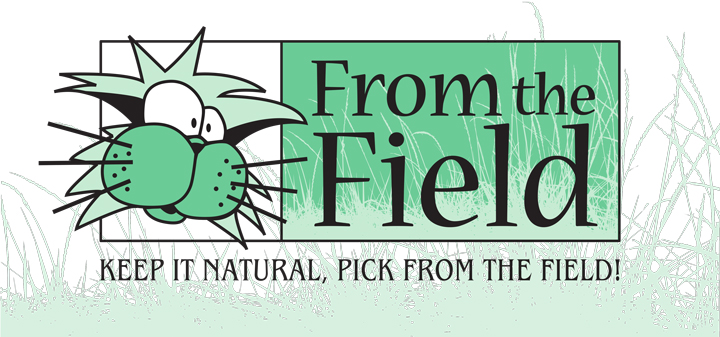 From the Field