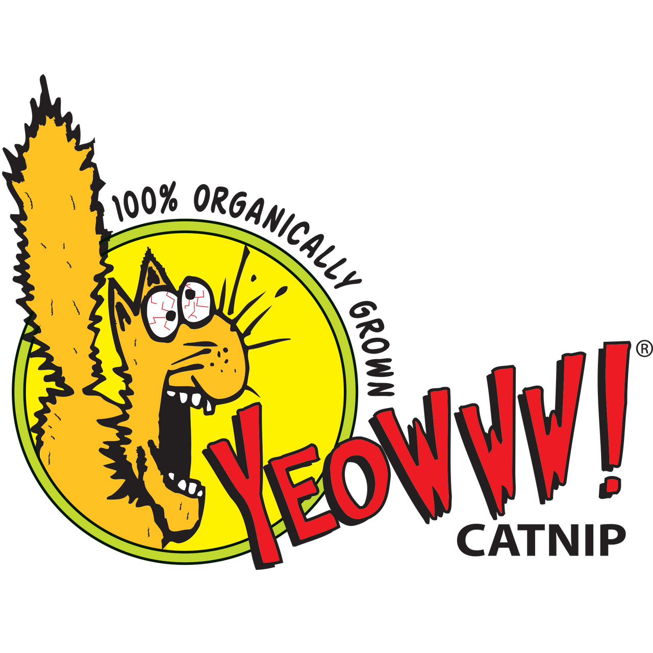 Yeowww!