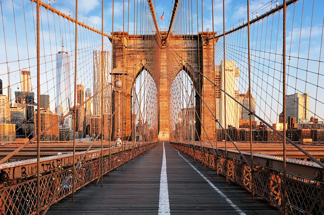 Brooklyn Bridge view for the Brooklyn Heights cat history tour