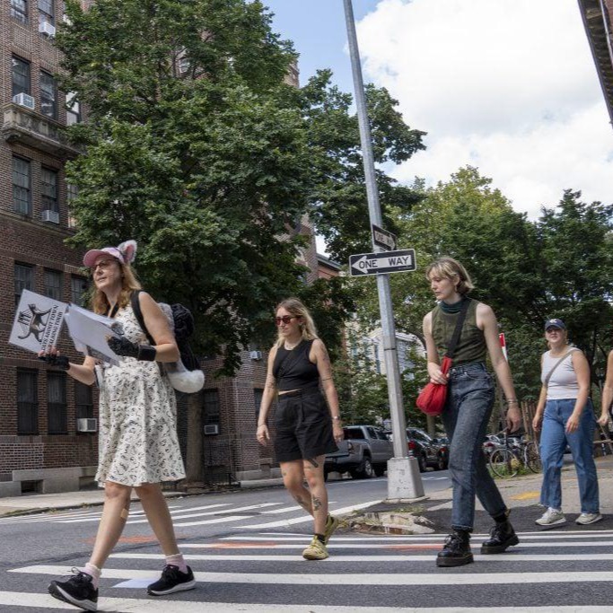 Brooklyn Heights tour group enjoying cat stories
