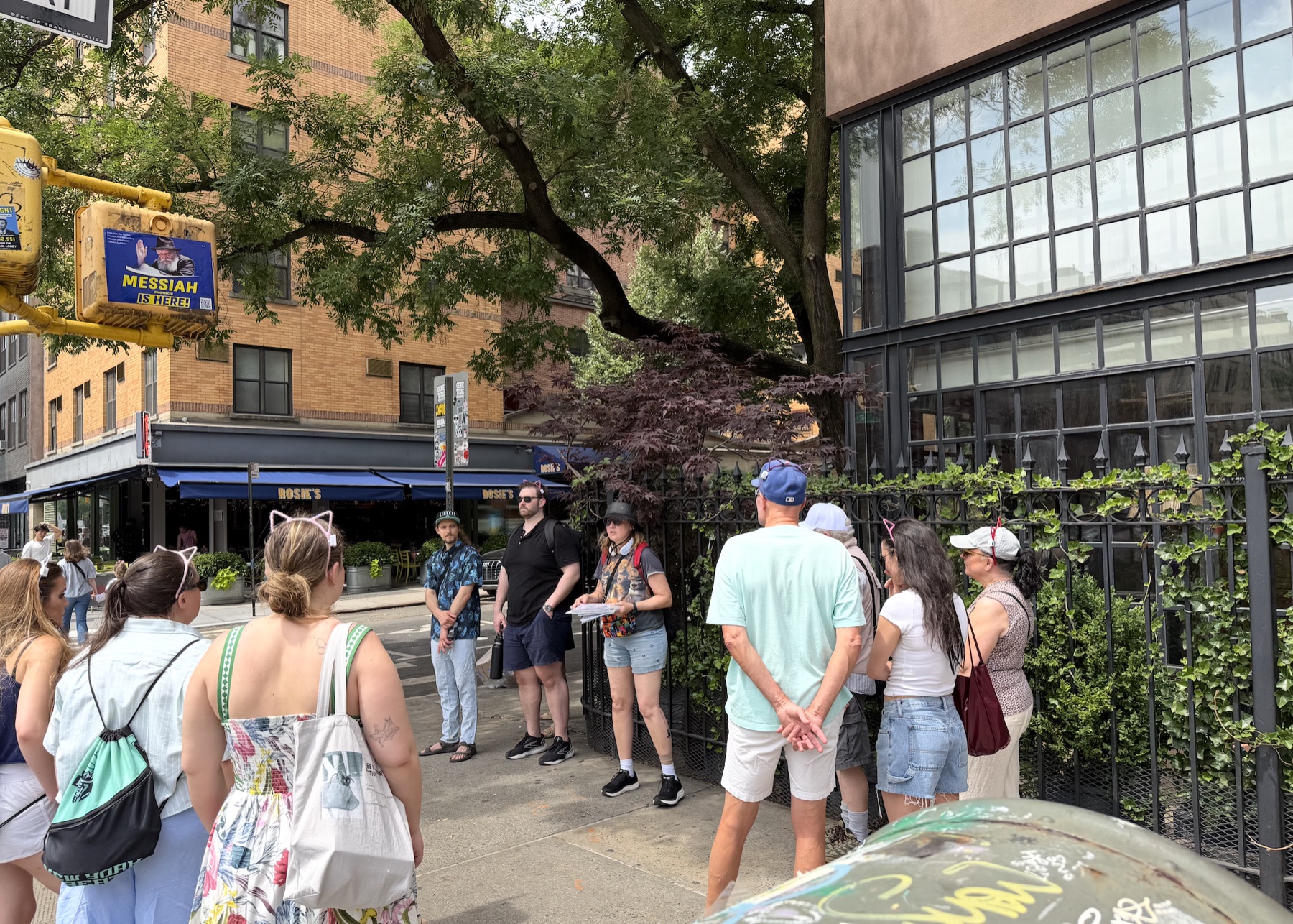 How to Choose an NYC Cat-History Walking Tour for a Summer Day