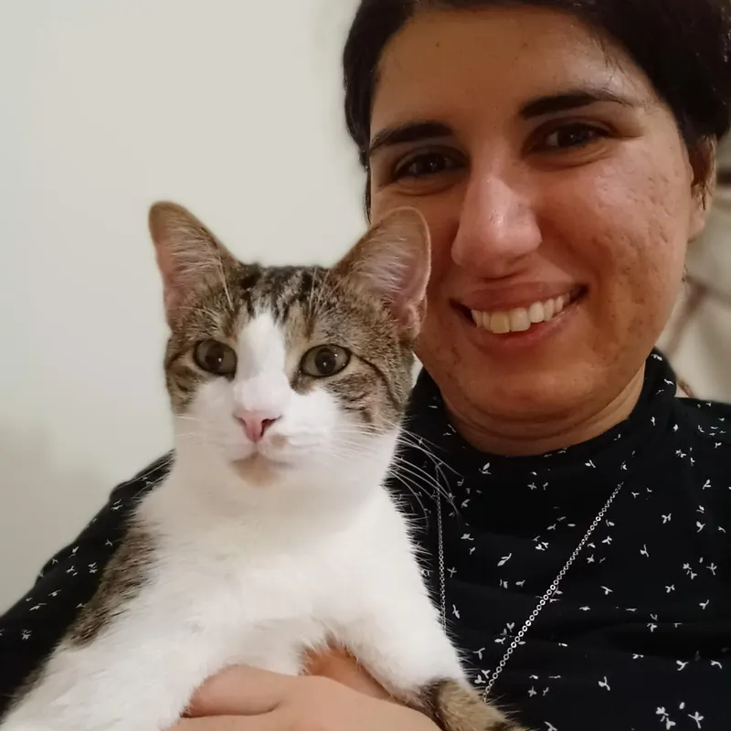 Cat photo from tour community