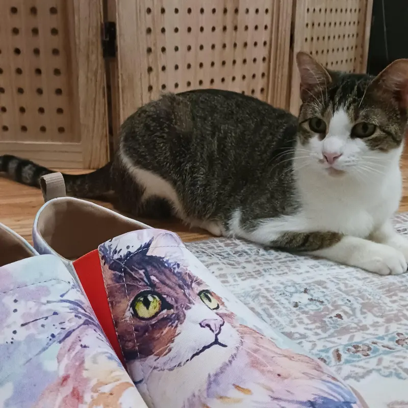 Cat photo from tour community