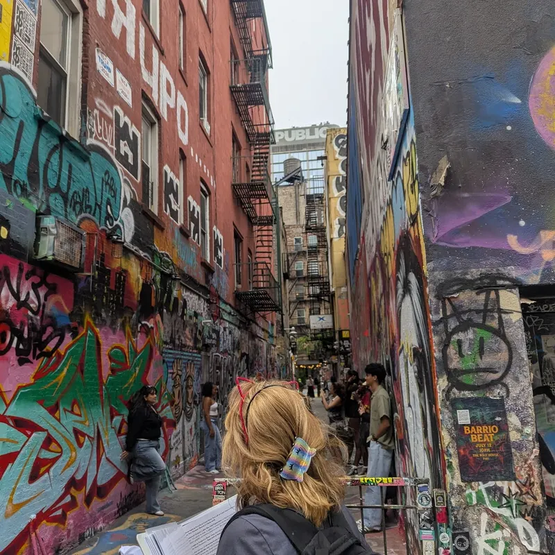 Freeman Alley graffiti art on Lower East Side tour