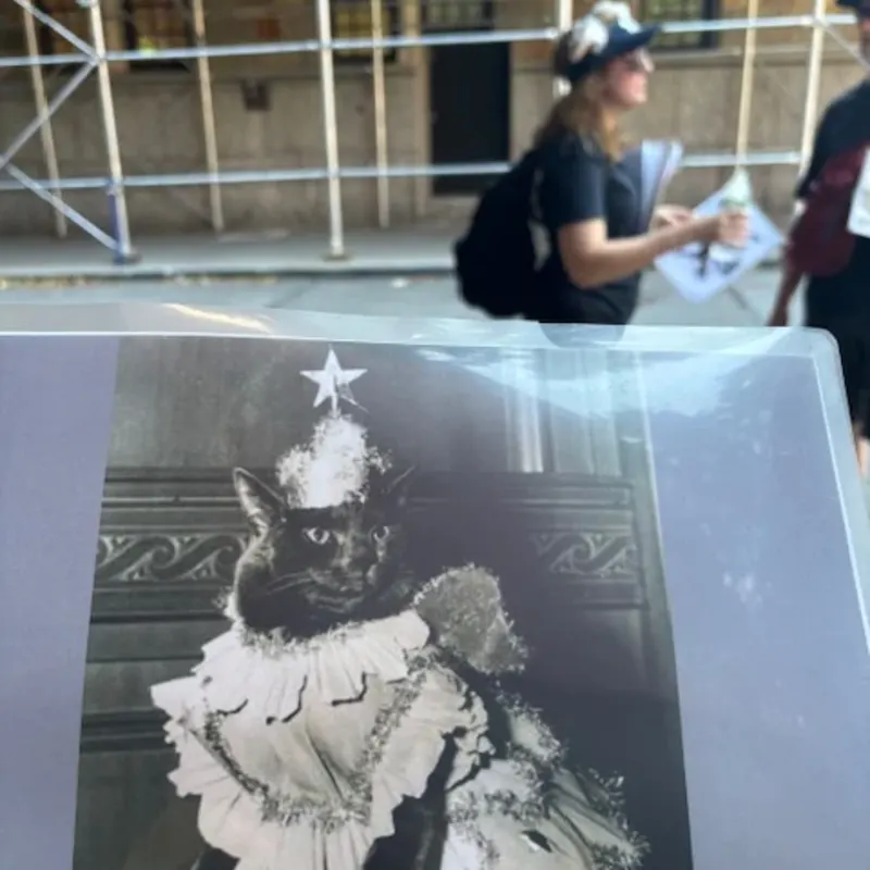 Vintage cat costume photograph from tour materials