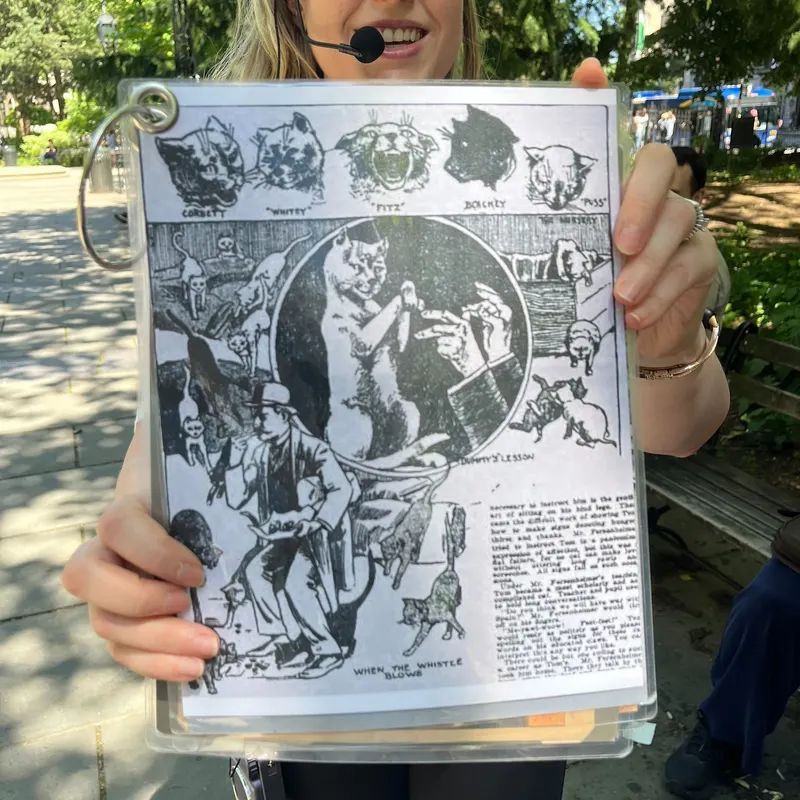 Vintage cat illustrations displayed in park on NYC tour