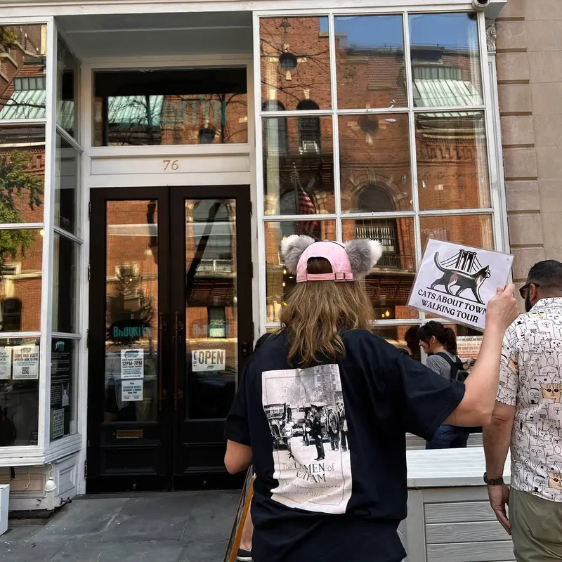 Cat history walking tour in New York City