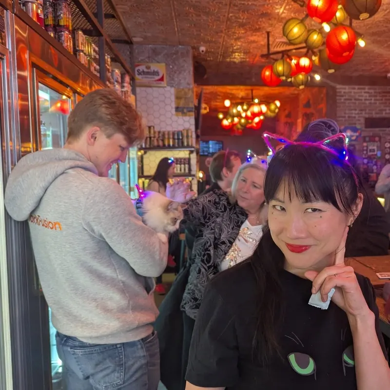 Cat history walking tour experience in NYC