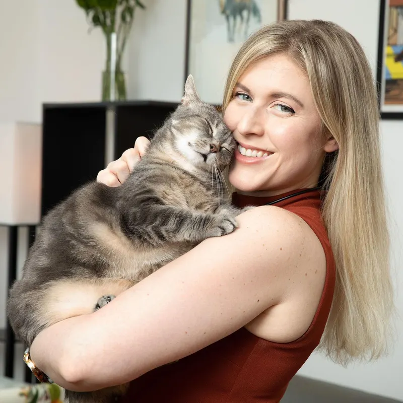 Cat photo from tour community