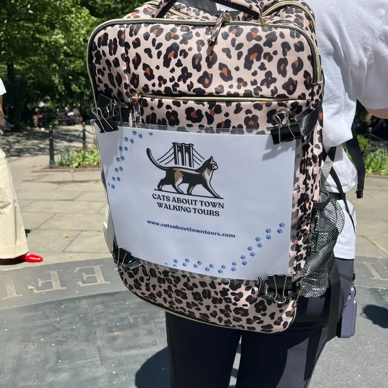 Cats About Town Walking Tours sign and tour materials