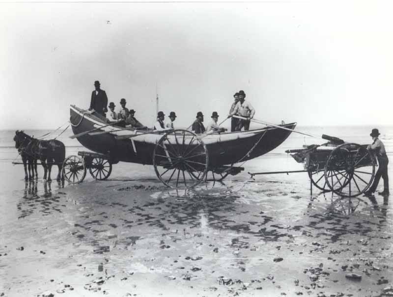 1930: Bill, the U.S. Life-Saving Services Horse of Fire Island, New York - Cats About Town Tours