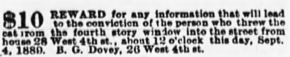 1899: The New York Cat Who Fell to Earth on West Fourth Street - Cats About Town Tours