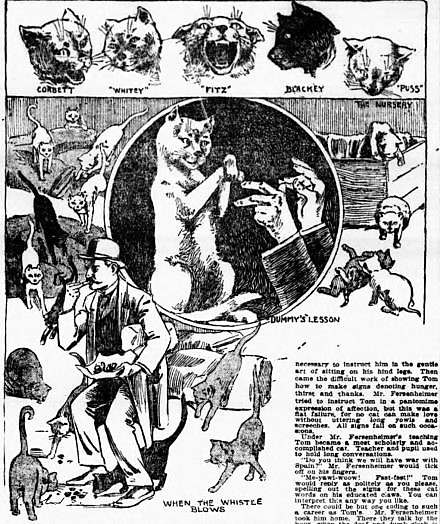 1904: Fitzsimmons and the Feline Police Squad of New York’s General Post Office - Cats About Town Tours