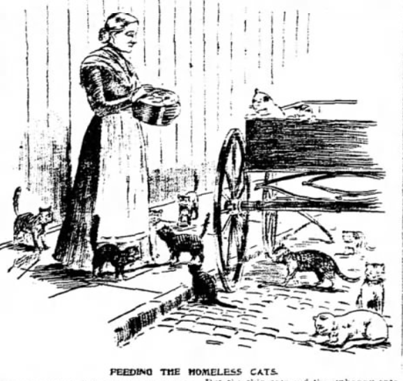 1894: The International Alley Cats of Poverty Hollow at Pitt Street and Broome Street