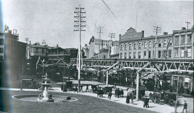 1904: Jerry Fox, the Spectacled Cat of Brooklyn Who Saved Borough Hall - Cats About Town Tours