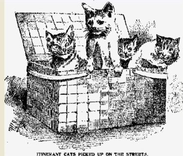 1890: The Crazy Cat Ladies and The Murderous Midnight Band of Mercy, Part I