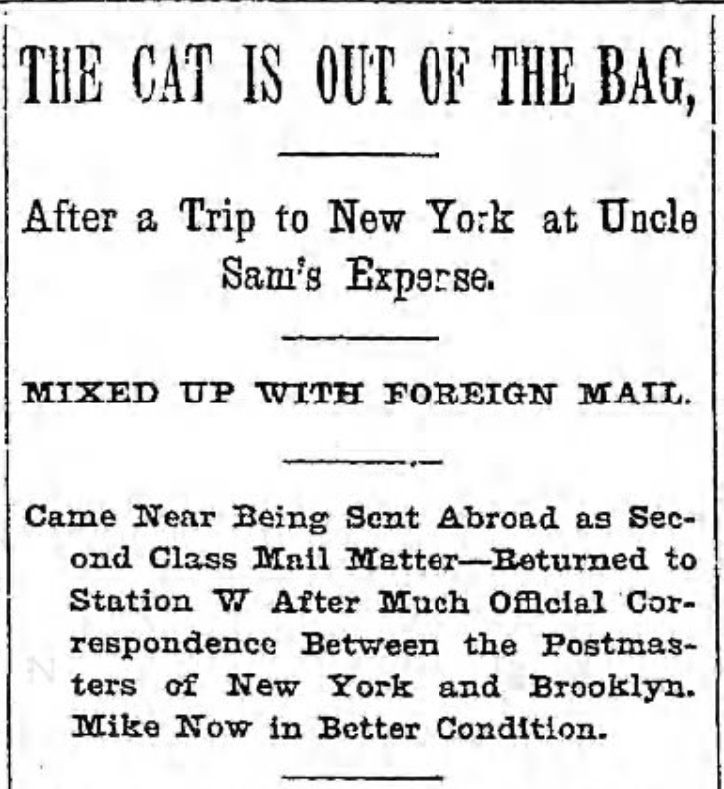 1895: Mike, The Williamsburg Post Office Cat Almost Mailed Overseas