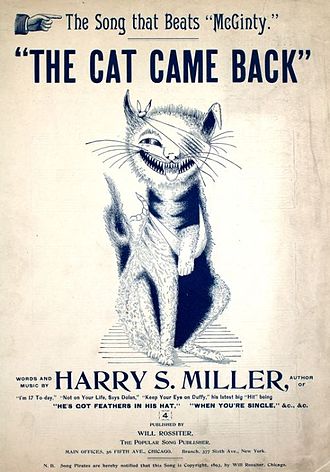 1921: Minnie, the New York-Bermuda Ship Cat of Pier 95 That Kept Coming Back - Cats About Town Tours