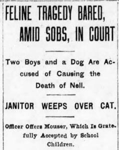 1910: Nellie, the Beloved Class Cat of Brooklyn’s Van Pelt Manor Grammar School
