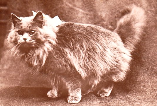 1934: Arson and Homicide, the New York Cats on the Job at Police Headquarters - Cats About Town Tours