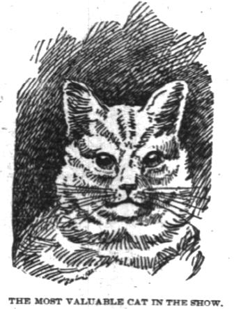1895: Nicodemus, the Prize-Winning Alley Cat of New York Prankster Brian Hughes