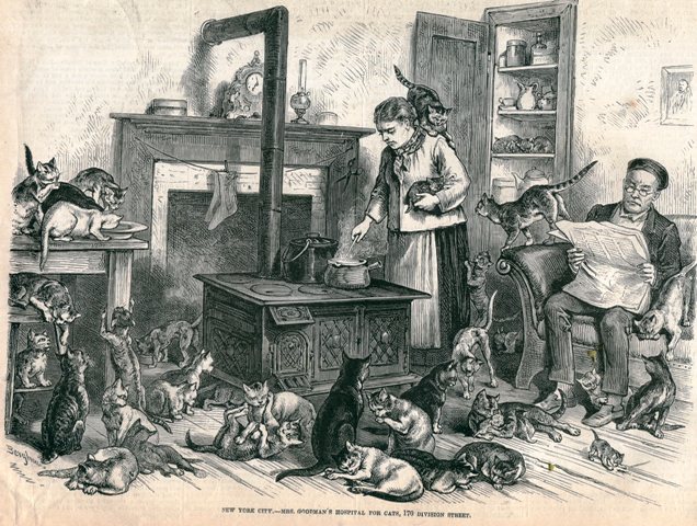 1871: Rosalie Goodman, the Crazy Cat Lady of New York’s Lower East Side - Cats About Town Tours