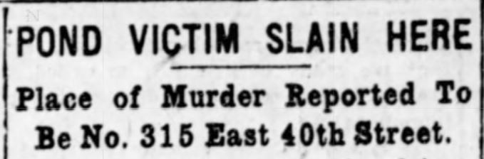1912: Tipsy, the Expert Midtown Mouser Who Helped Police Solve a Murder