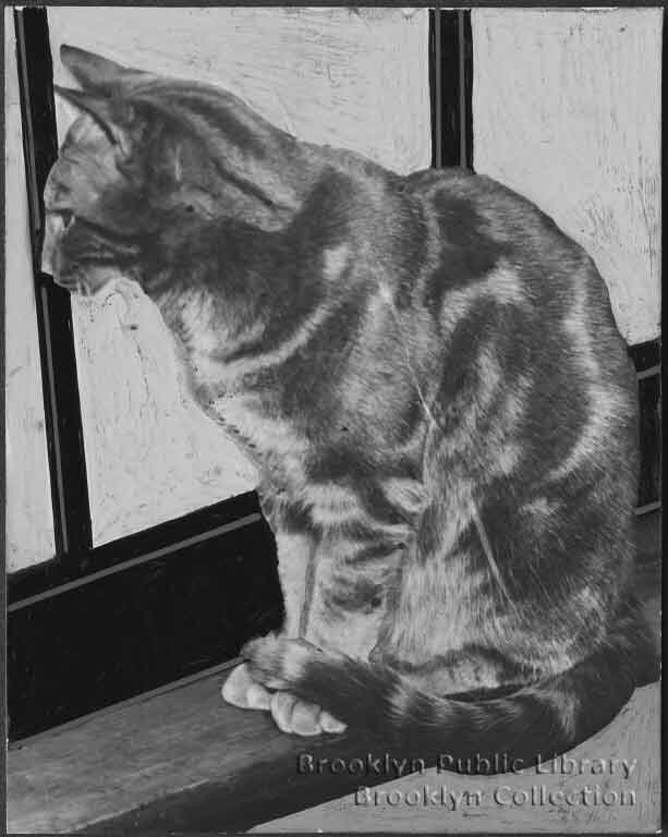1933: Tommy Mulligan, the Lighthouse Cat of Norton’s Point on Coney Island - Cats About Town Tours